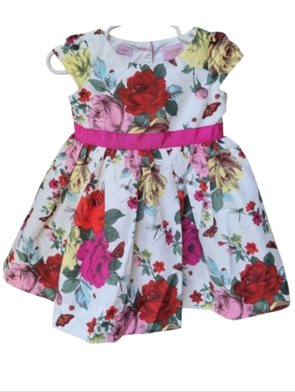 Baker Ted Baker Floral Butterfly Lady Bug Dress Size 12-18 Months